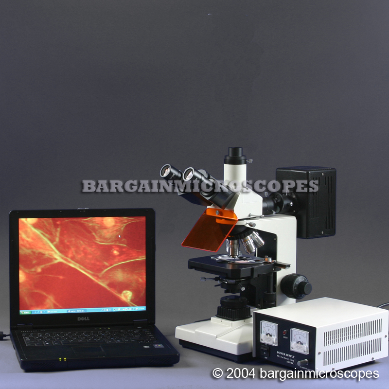 Upright Epi-Fluorescence Incident Light Excitation Trinocular USB Microscope + 3MPIXEL USB Camera + Case
