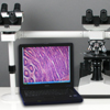 USB computer connected camera included. Computer/Laptop not included. Shape of microscope camera may vary from what is shown.