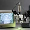 Monitor NOT Included. Camera for live motion video microscopy is included.   