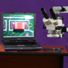 Ability to capture digital images with included microscope camera. Connect via USB port. Picture shows microscope camera. Actual shipped camera may look different.   