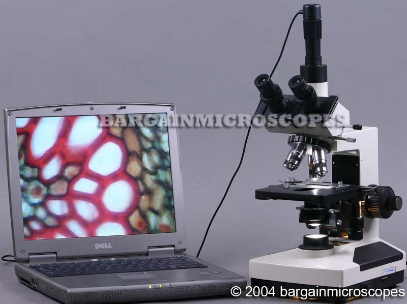 40-1600X BIOLOGICAL COMPOUND<br/>TRINOCULAR MICROSCOPE<br />W/ 10 PREPARED STAINED SLIDES” /><br /><span class=