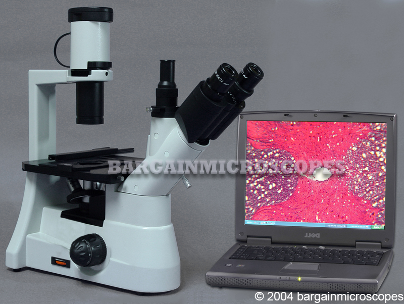 Phase Contrast Inverted Tissue Culture Microscope Infinity Corrected Optics 3MP High Resolution USB Digital Camera