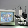 CCD video live motion color camera with mounting adapter included. CCTV monitor not included.   