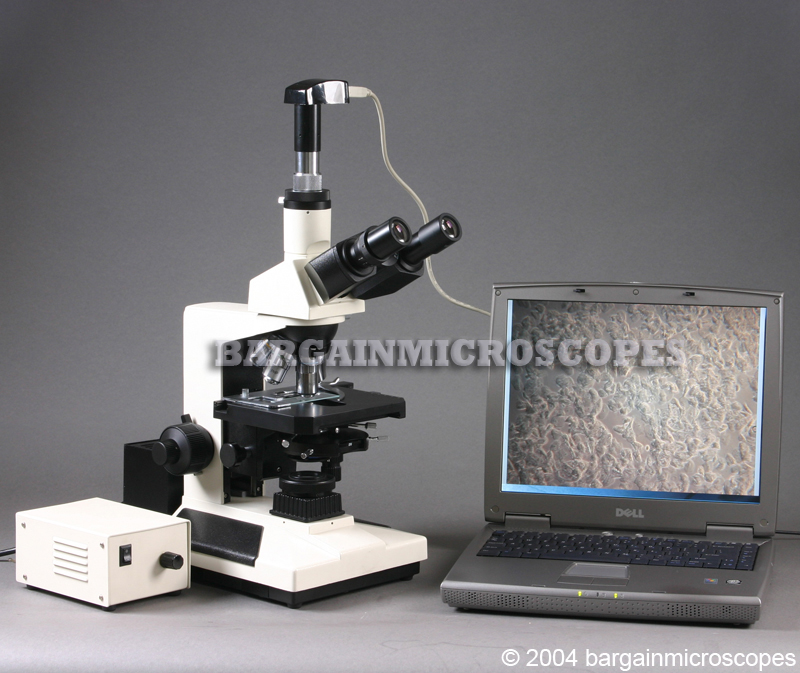 Live Blood Microscope Phase Contrast Microscopy Darkfield - Brightfield Illumination Bright 350w Fiber Optic Light Video CCD Camera And USB Camera