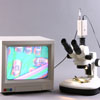 View specimens on your cctv monitor.  Camera for video microscopy included. Monitor not included.   