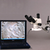 Includes USB microscope camera for connection to computer. Computer not included. Style of camera may be different from photo.   